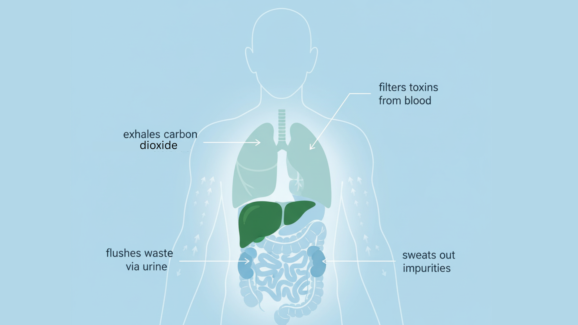 does your body really need a detox