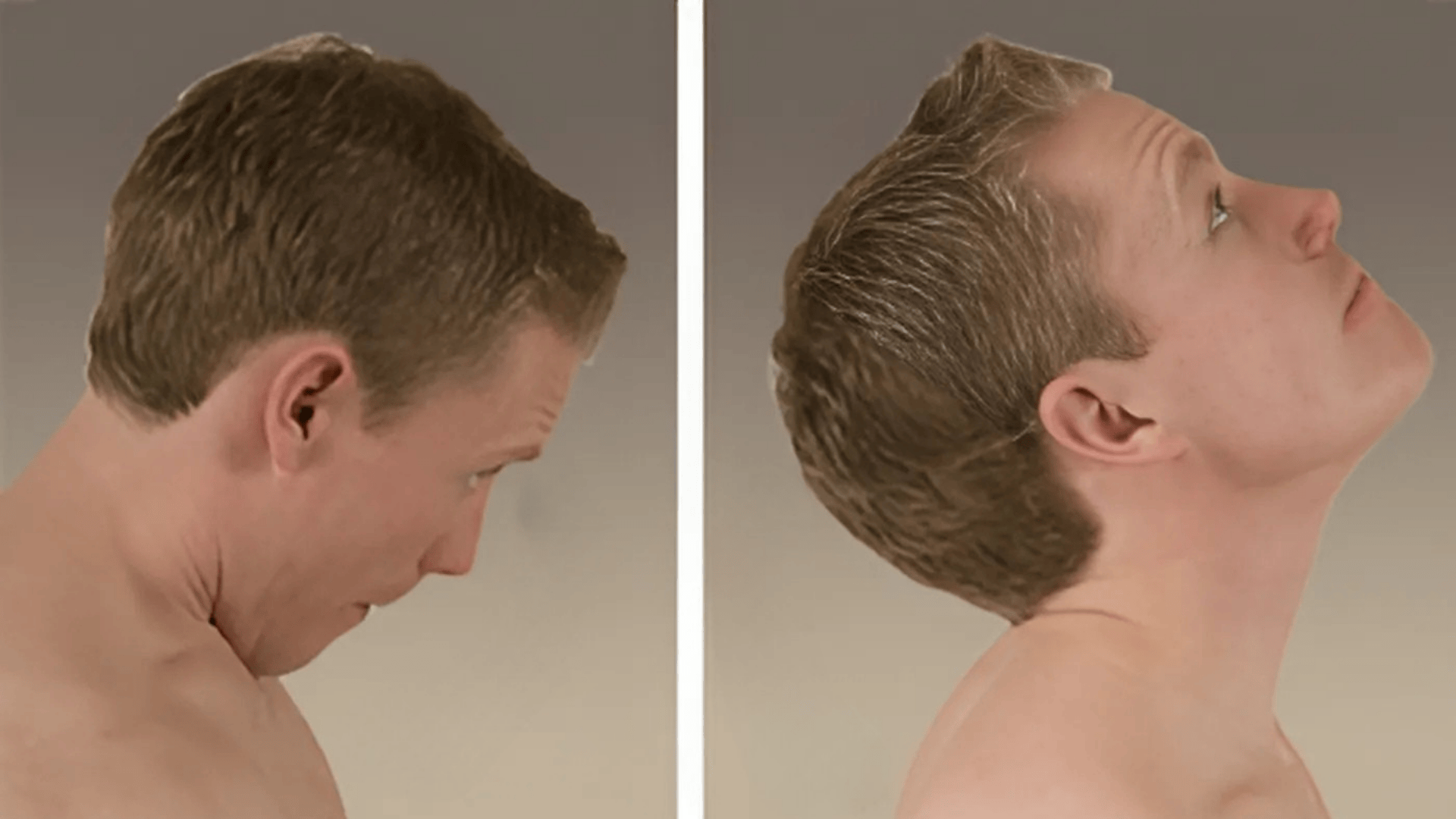 neck flexsion extension